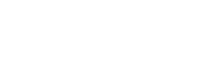 FLYNG HIGH logo